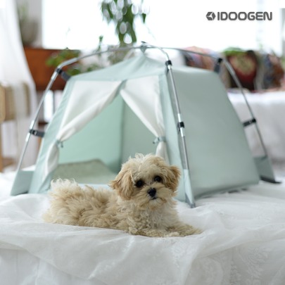 DDASUMI Pet Tent Pet House S [Mint]